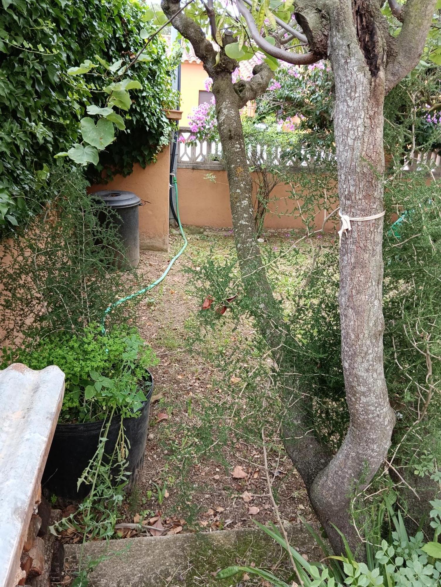 Casa Amb Gran Jardi A Vilauer-Costa Brava - Alt Emporda Vilaur Экстерьер фото