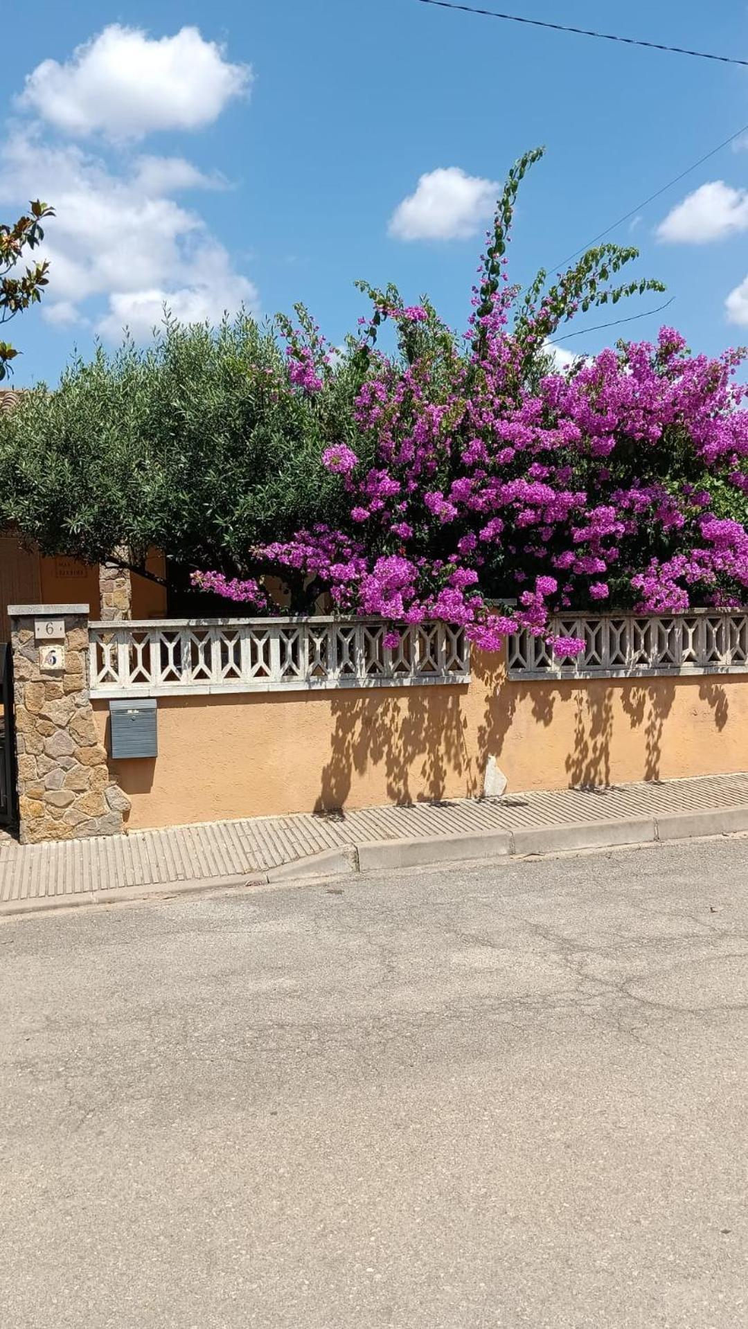 Casa Amb Gran Jardi A Vilauer-Costa Brava - Alt Emporda Vilaur Экстерьер фото